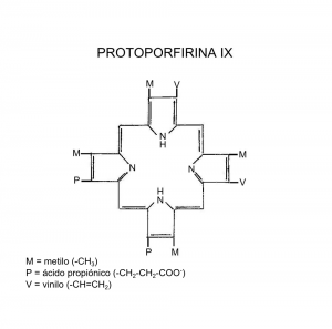 protoporfirina-ix