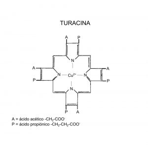 turacina